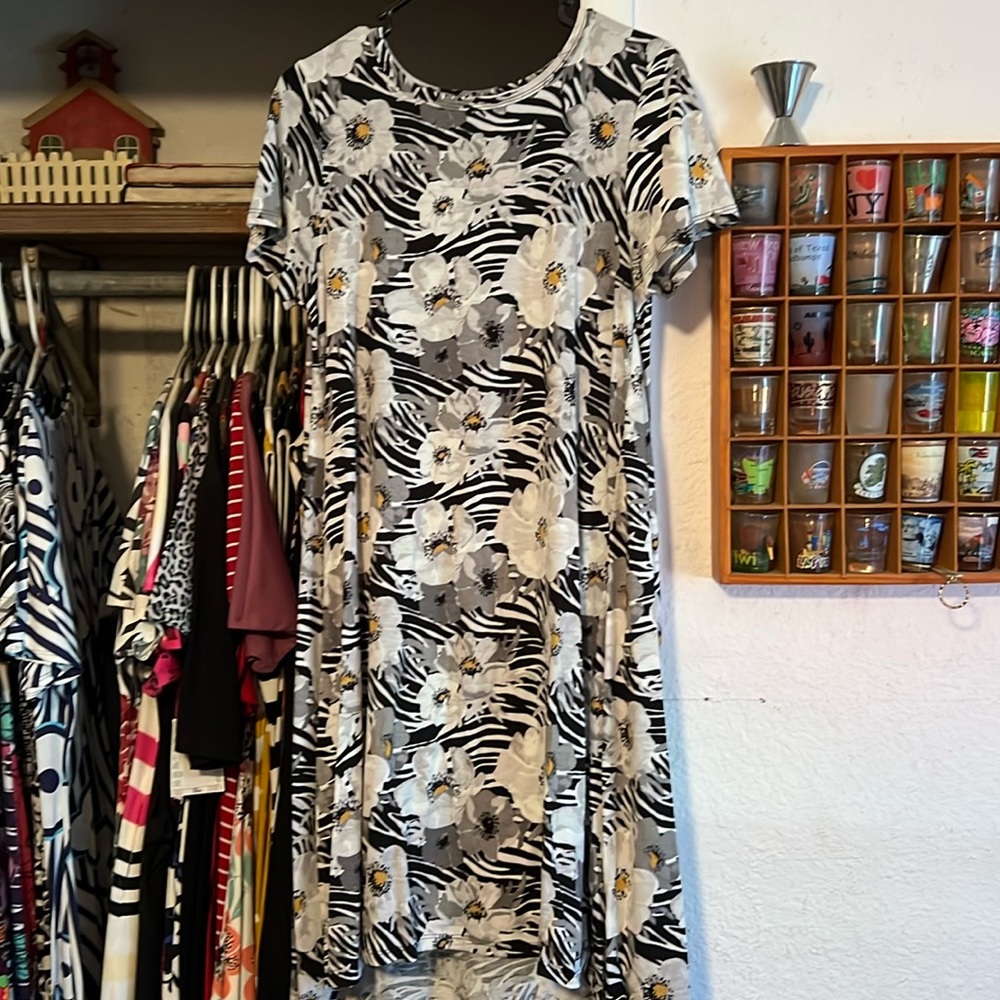 XS LulaRoe Carly